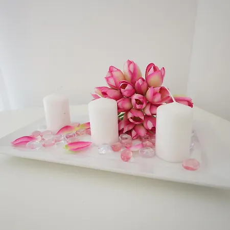 Apartman Vrnjacka Oaza